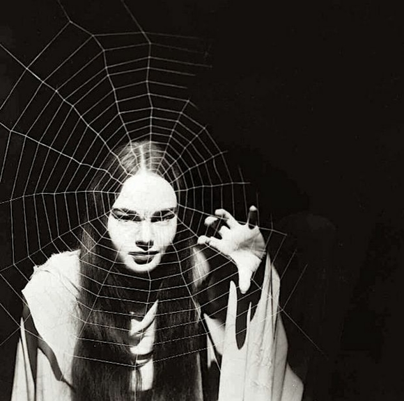 Meet your Posher, Franki - Picture 2 of 2